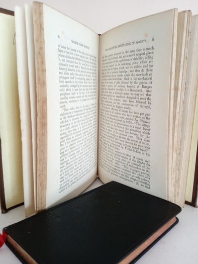 Introduction to the Study of Modern Forest Economy by John Croumbie Brown (GT904)