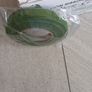 Floristry Green StemTape. Image 3