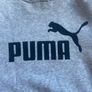 Kids Grey Puma Hoodie Image 4