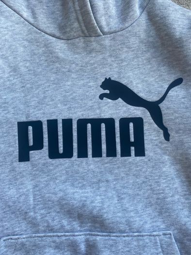 Kids Grey Puma Hoodie