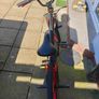 bike Image 3