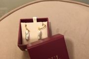 Soul @ Carraig Donn earrings