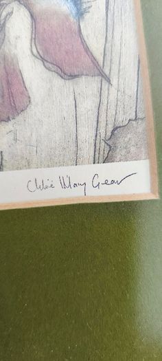 FRAMED DETAIL IRIS RAINBOW FANTASY penceled and coloered signed by artist .