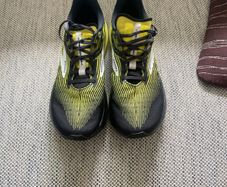 trainers