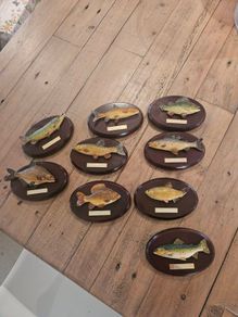 fishermans tale plaques