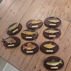 fishermans tale plaques
