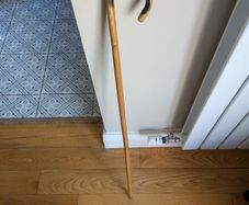 Walking Cane