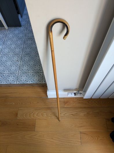 Walking Cane