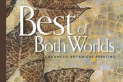 Best of Both Worlds - Enhanced Botanical Printing by Jane Dunnewold