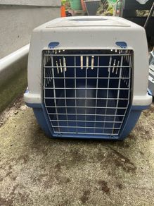 Dog Cat box