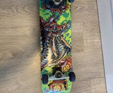 skateboard Tony Hawk