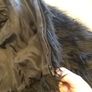 Black Gorilla Fur Jacket Image 4