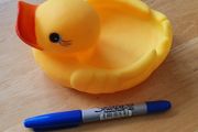 A Cute Duck Bath Toy