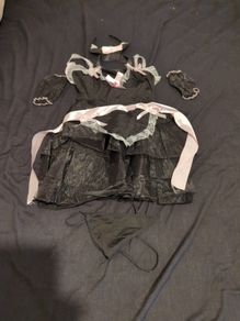 Beautiful maids costume