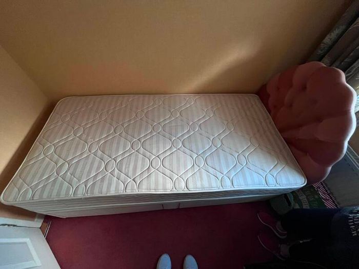 Brown Thomas Single Bed (frame & headboard)