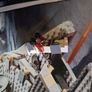 Lego star wars sw0202 clone trooper commander fox Image 4