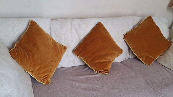 Gold Velvet Cushions