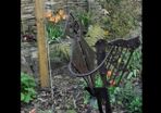 Unique garden sculpture