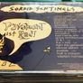 PAVEMENT - Wowee Zowee: Sordid Sentinels Edition  CD Image 2