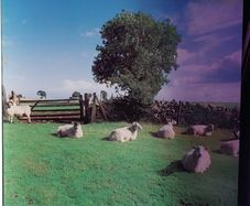 The KLF - Jams LP5 Chill Out vinyl