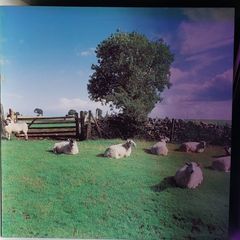 The KLF - Jams LP5 Chill Out vinyl