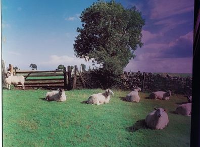 The KLF - Jams LP5 Chill Out vinyl