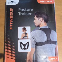 Back posture belt