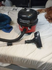 Henry toy