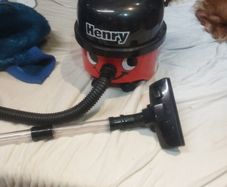 Henry toy