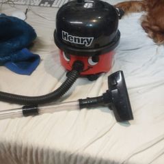 Henry toy