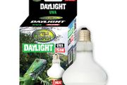 Reptile Nova Bulb For Terrariums UVA 150W DAYLIGHT