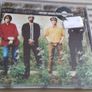 Ocean Colour Scene. Image 7