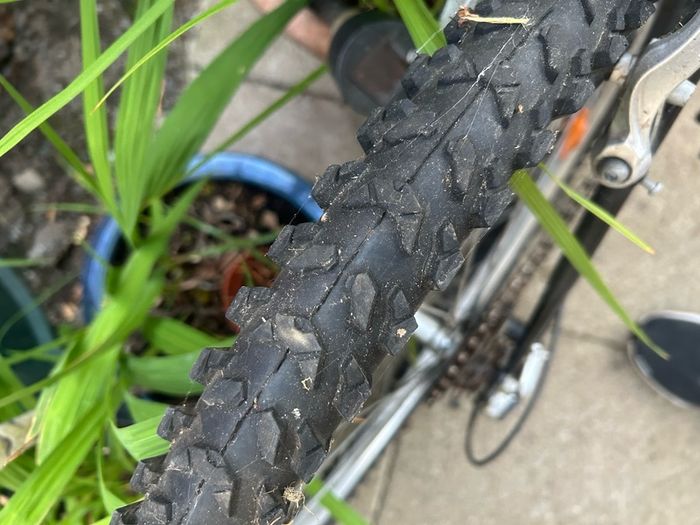Adult Mountain bike
