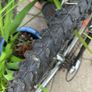 Adult Mountain bike Image 2
