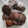 cholla wood & lotus pods for shrimps/aquarium Image 4