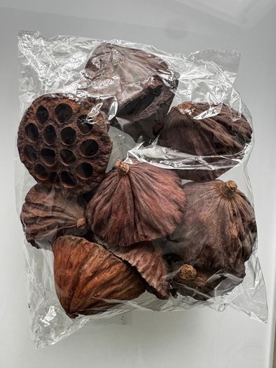 cholla wood & lotus pods for shrimps/aquarium