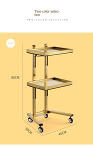 New Stainless Steel Beauty Salon Cart
