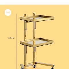 New Stainless Steel Beauty Salon Cart
