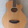 Crafter Electro Acoustic Bass Mint Condition PRICE DROP Image 3