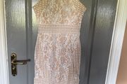 ladies dress