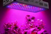 LED Grow Light Bloom Veg Full spectrum 900W
