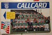 Irish Telecom Eireann Callcard Cardboard Advertising For Irish Soccer Team Usa World Cup 94 10units 14" X 9 " ,, 36cm X 23cm
