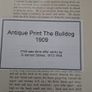 antique print the bulldog Image 4