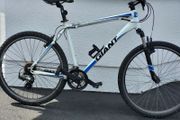 Giant Revel Used Bike