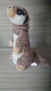 Automated soft toy money box