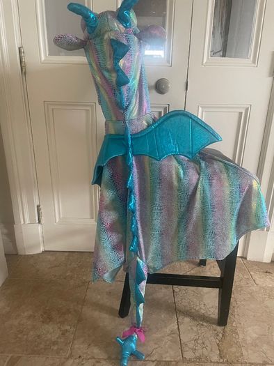 Iridescent dragon fancy dress costume