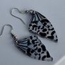 Leopard Lace Blue Tint Butterfly Wing Earrings Image 4