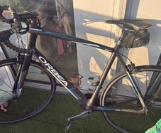 orbea bike