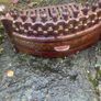 Fire front and grate Image 6