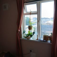 pink curtains